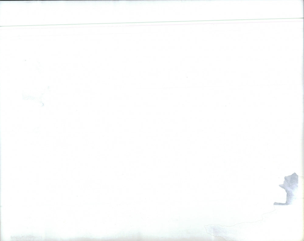 1994 Press Photo Members of "The Young Dubliners"