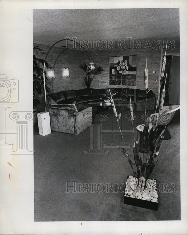 1974 Press Photo The living room of Dr. Rock Osmon's Bachelor Pad - RSM04015