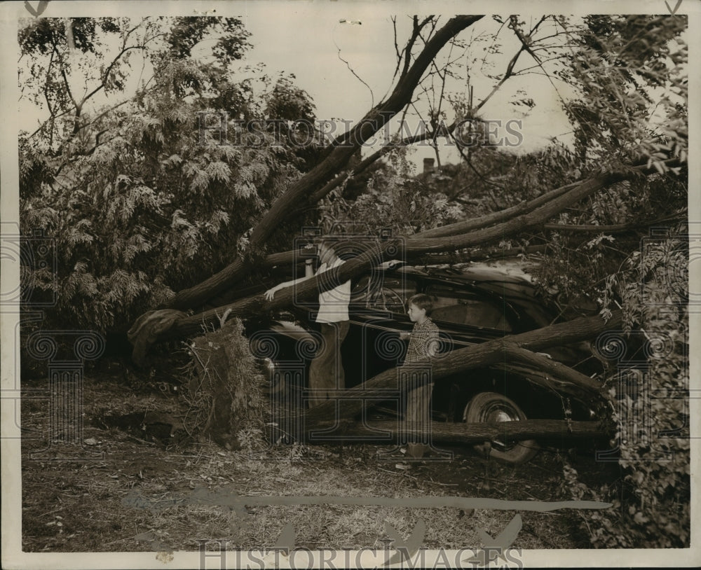 1950 Press Photo Birmingham Trees downed by Storm, Alabama - abna03152 - Historic Images