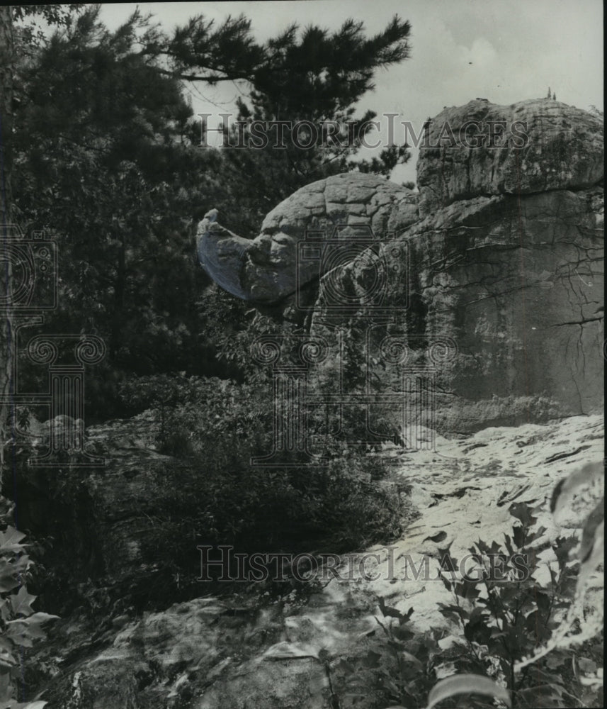 1971 Press Photo Alabama's Chandler Mountain's Camel's head dominated ridgeline.