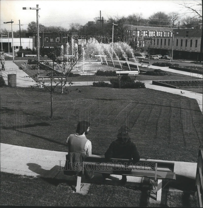 Load image into Gallery viewer, 1975 Press Photo Alabama-People enjoying Birmingham's renovated Magnolia Park.
