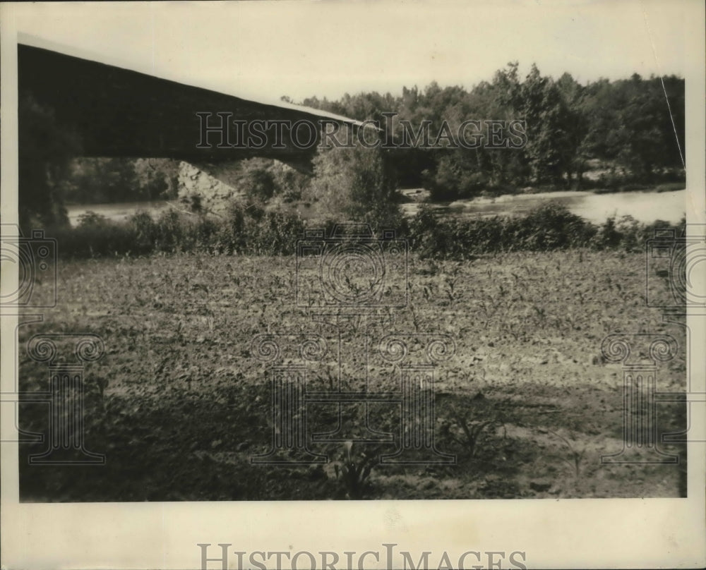 1938 Press Photo Miller Covered Bridge Near Dadeville, Alabama- Historic Images