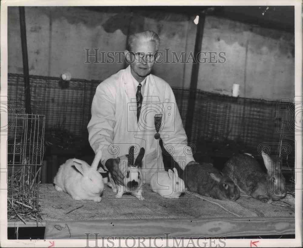 1968 Press Photo Alabama State Fair Superintendent in Birmingham shows Rabbits.- Historic Images