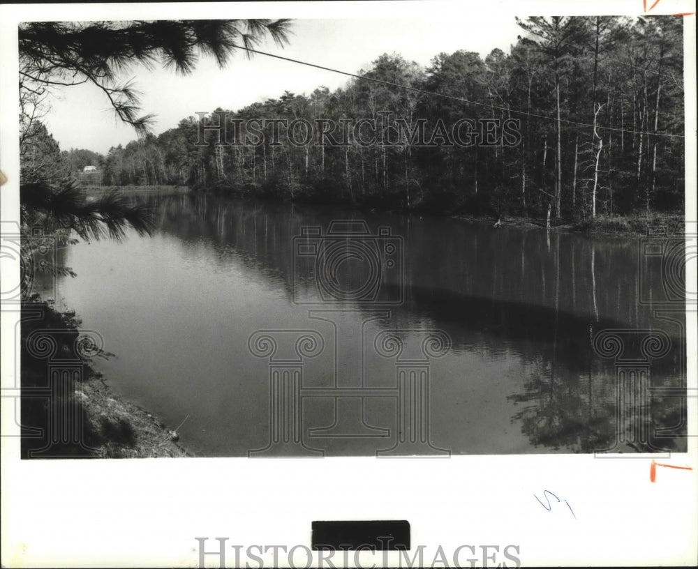 1978 Press Photo Alabama-View of Blue Lake area in southern Jefferson County.- Historic Images