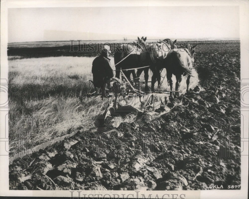 1947 Press Photo Oklahoma-Holdenville farmer with 3-horse team and sulky plow.- Historic Images