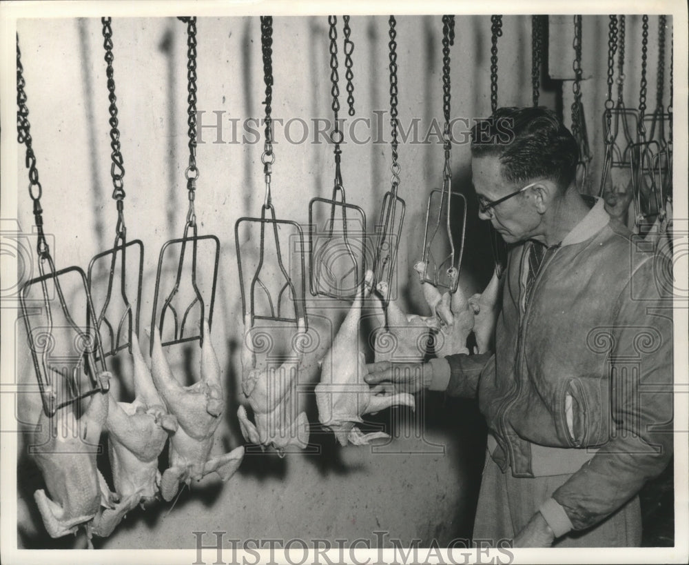 1964 Press Photo Man with Plucked and Feathered Chickens hanging from Hooks- Historic Images