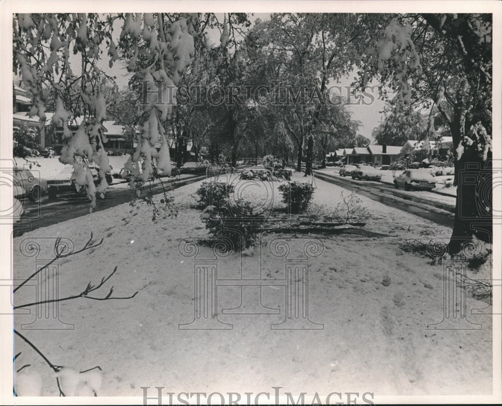 Press Photo Snowy street lined with homes - abna17632