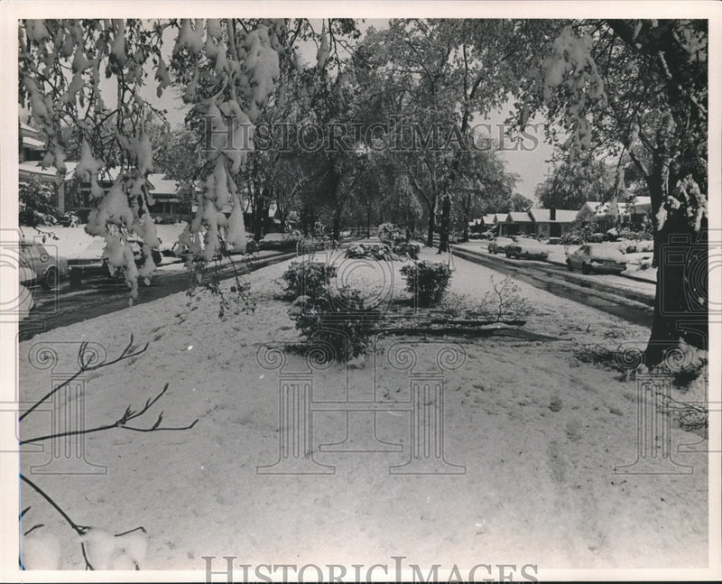 Load image into Gallery viewer, Press Photo Snowy street lined with homes - abna17632
