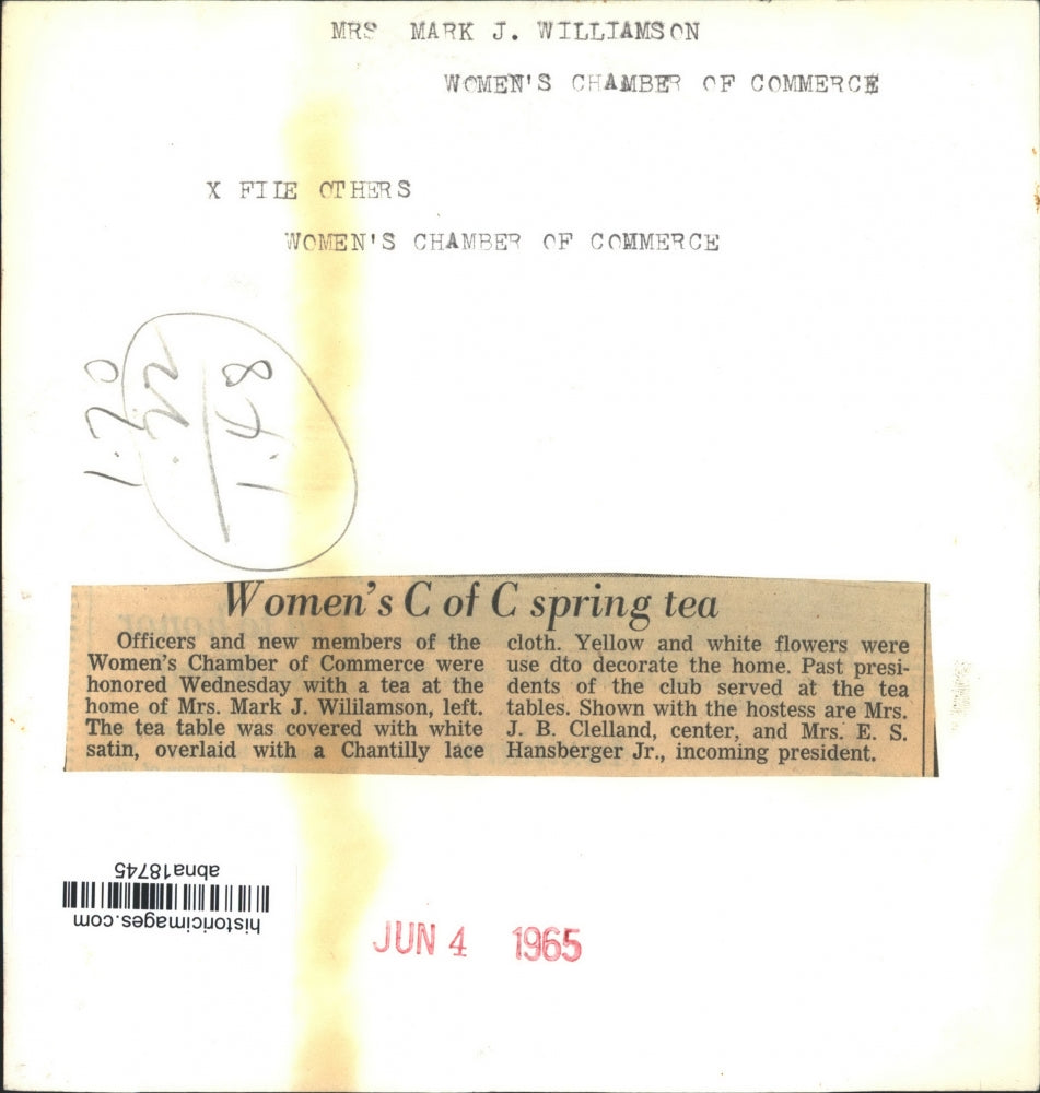 1965 Press Photo Officers of Women's Chamber of Commerce at tea - abna18745