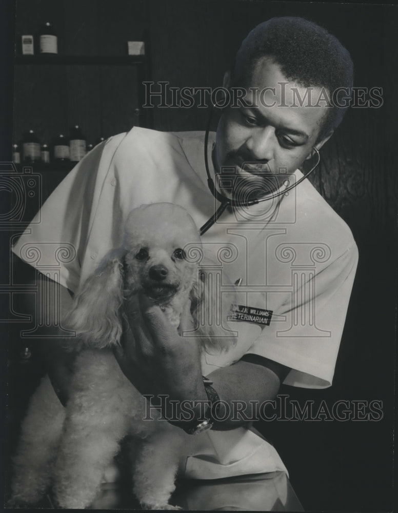 Load image into Gallery viewer, 1975 Press Photo Dr. Jerome Williams, veterinarian - abna19405

