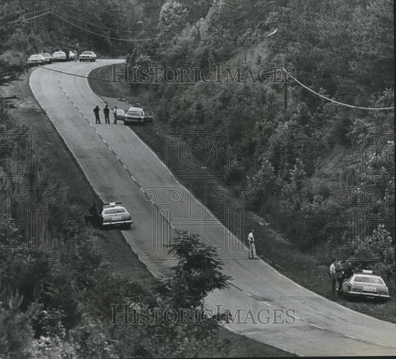 Load image into Gallery viewer, 1975 Press Photo Alabama police officers searching woods for robbery suspects
