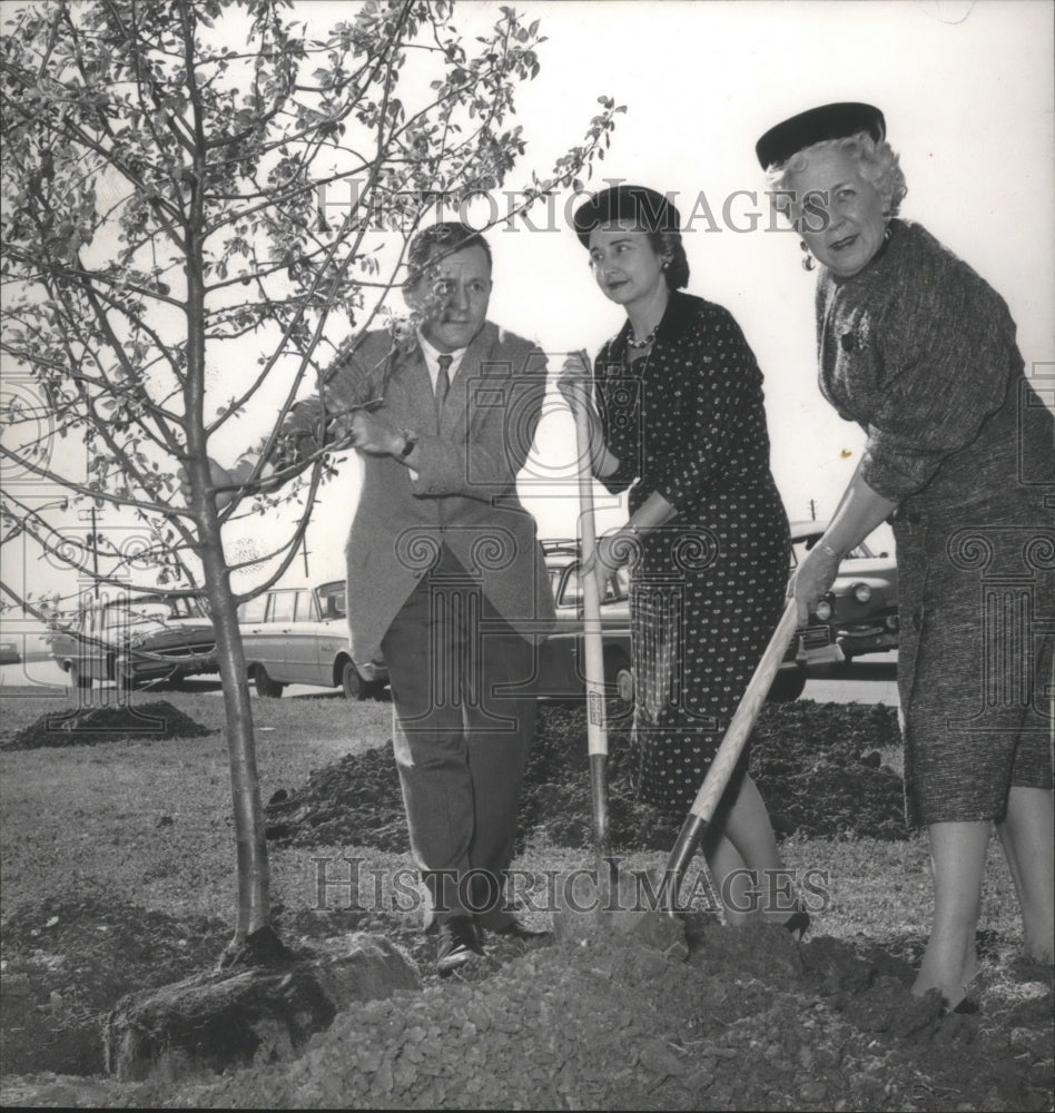 1962 Press Photo Elizabeth May with Others planting Trees in Avondale, Alabama- Historic Images