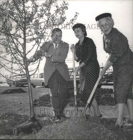 1962 Press Photo Elizabeth May with Others planting Trees in Avondale, Alabama- Historic Images