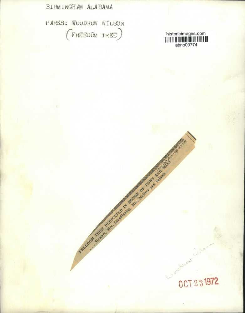 1972 Press Photo Birmingham, Alabama Parks: Woodrow Wilson Freedom Tree Visitors