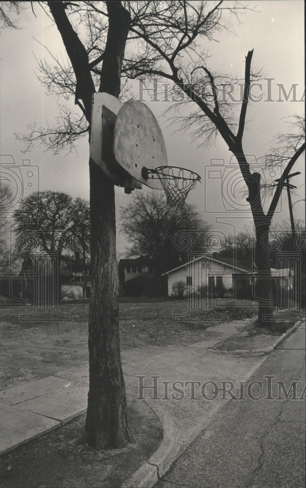 1984 Press Photo Illegal Basketball Goal Nailed To Tree On Street In Norwood - Historic Images