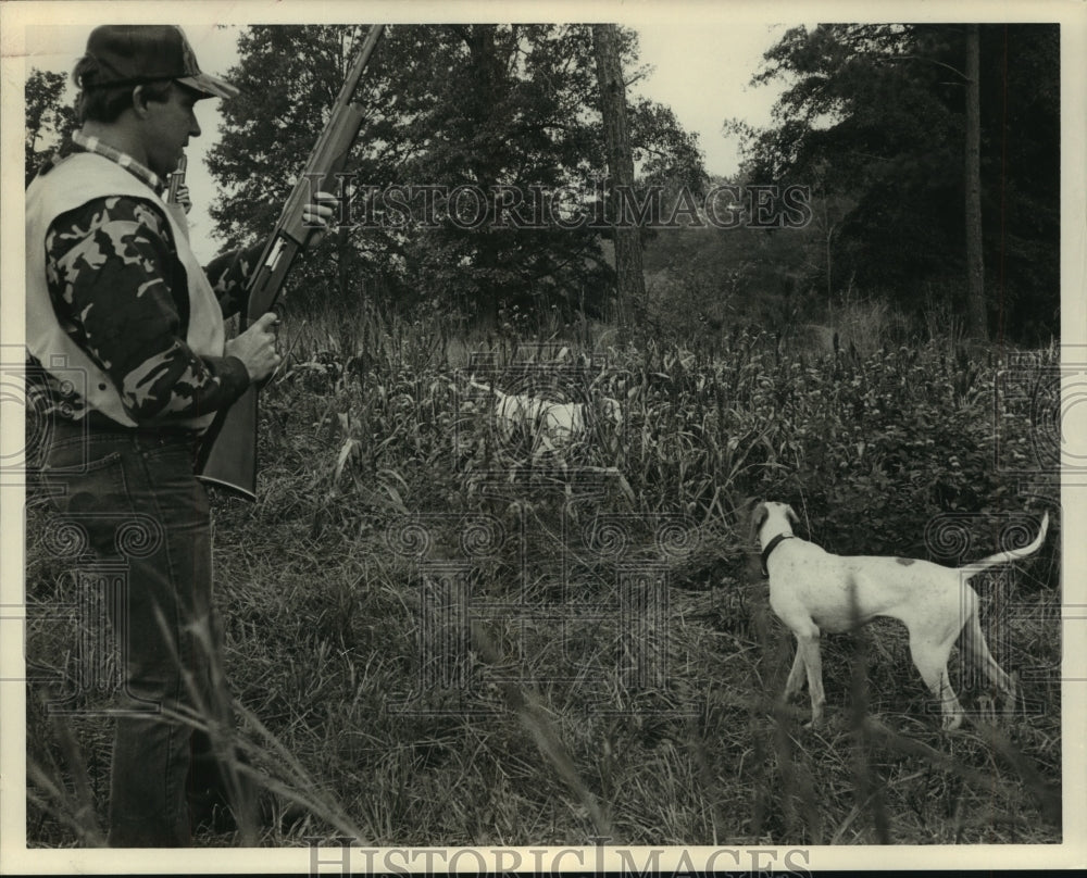 1986 Press Photo Dogs search for quail in field with hunter - abns07205 - Historic Images
