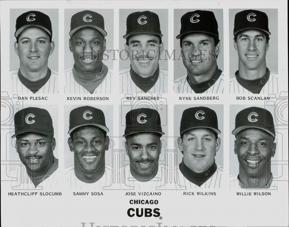 1993 Press Photo Chicago Cubs Baseball Club - afa00689 - Historic Images