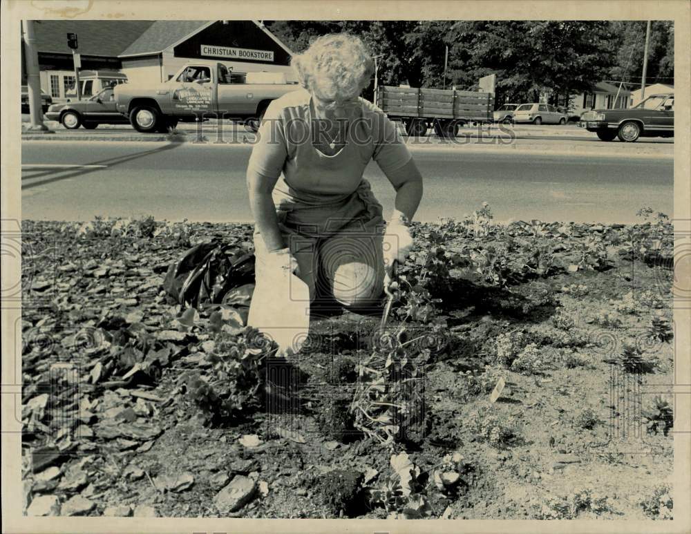 1990 Press Photo Sixteen Acres Resident Jean Masse Planting Flowers on Street - Historic Images