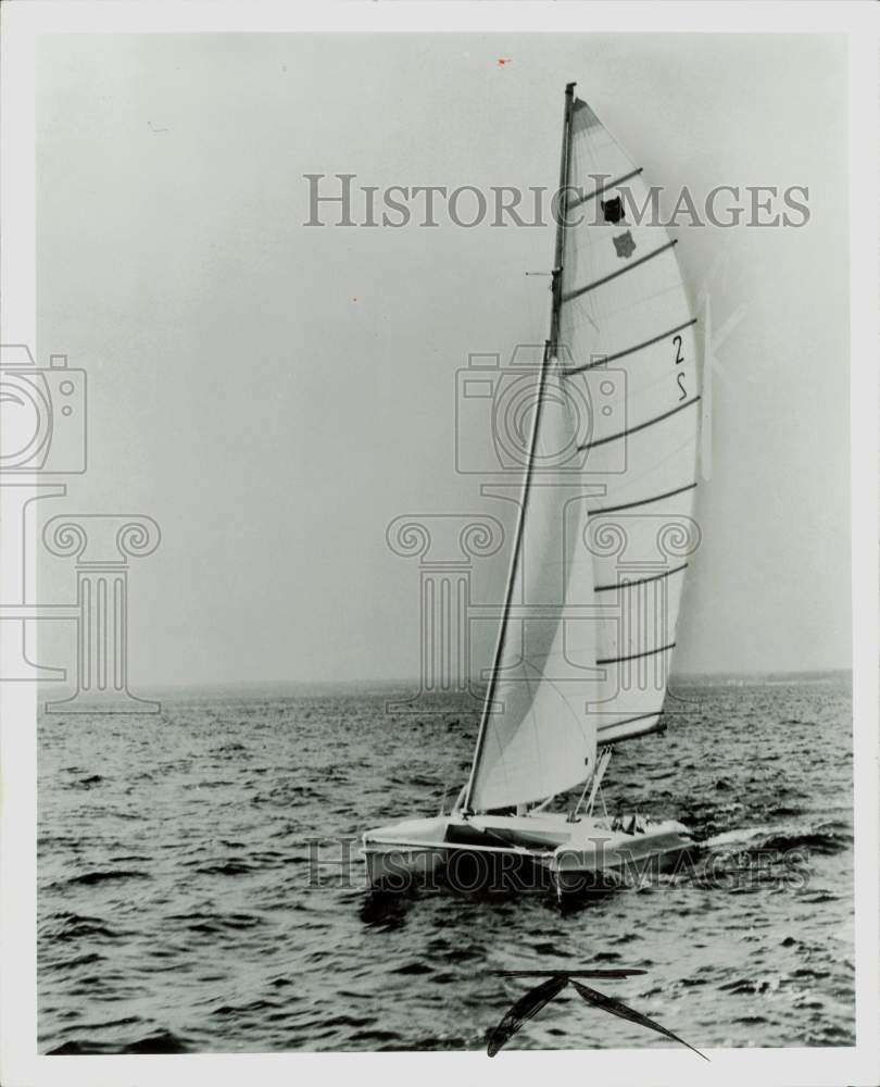 1961 Press Photo Catamaran Tiger Cat under full sail - afa25843- Historic Images