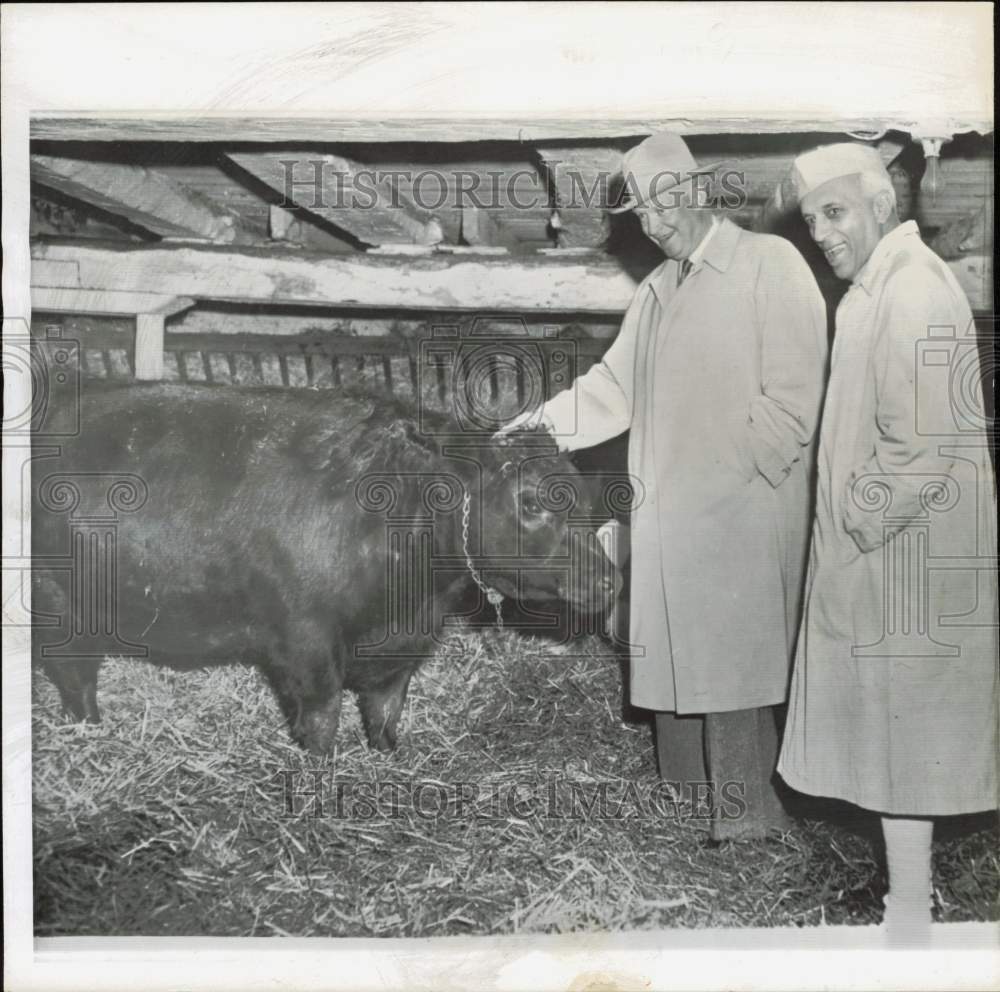 1956 Press Photo Dwight Eisenhower &amp; Jawaharlal Nehru pet Black Angus bull - Historic Images