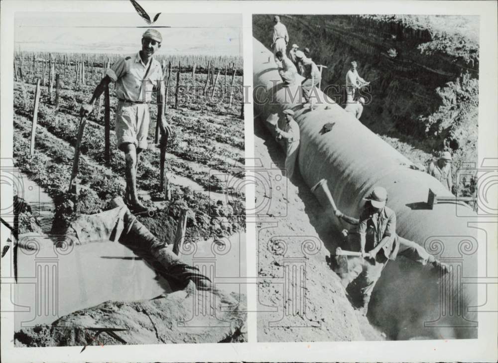 1954 Press Photo Workmen lay irrigation pipeline as Israeli watches water flow. - Historic Images