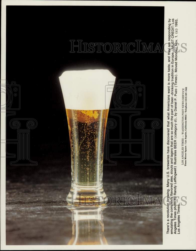 1993 Press Photo Glass of Beer - afa40400 - Historic Images