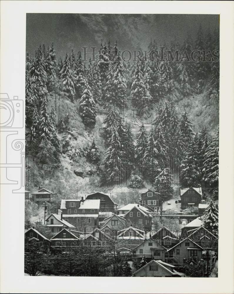 Press Photo A view of mountainside village with snow-covered trees in background - Historic Images