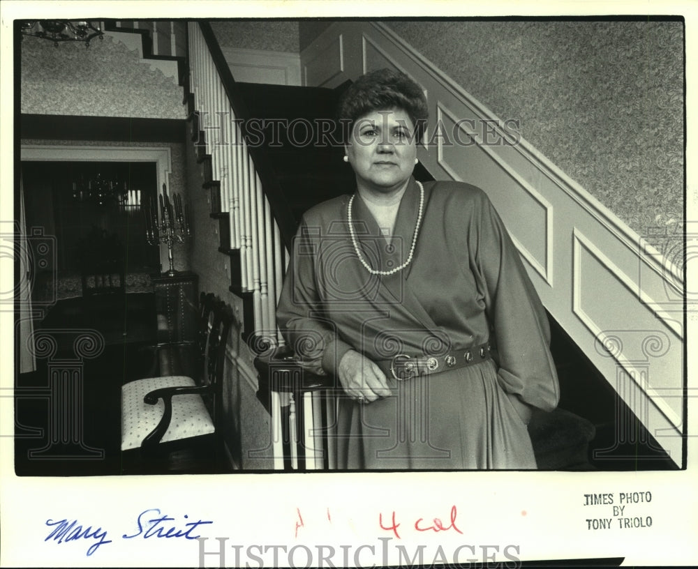 1987 Press Photo Wife Of Steven E. Streit Mary Streit- Historic Images