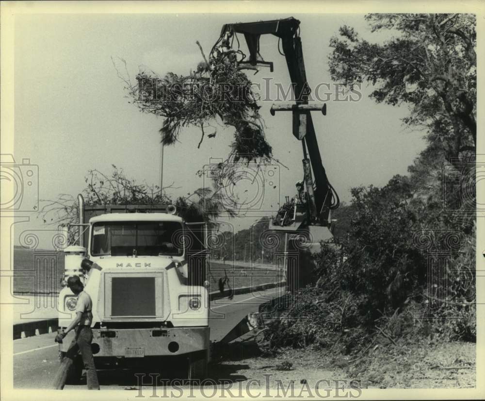 1985 Press Photo Men use crane to move felled trees from Hurricane Elena, MS- Historic Images