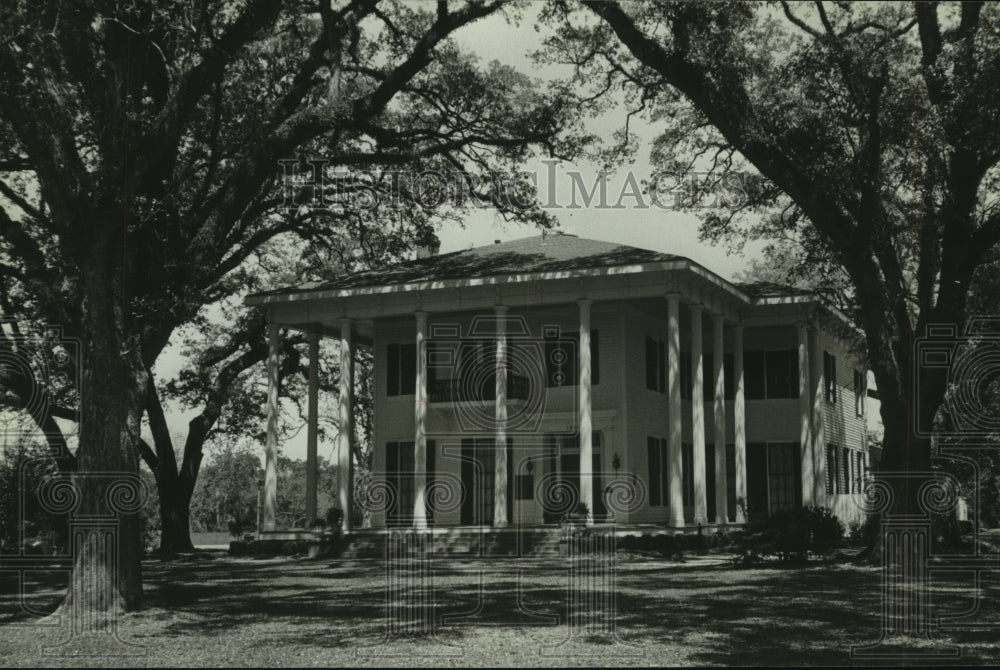 1989 Press Photo Exterior of Bragg Mitchell Home, Alabama- Historic Images