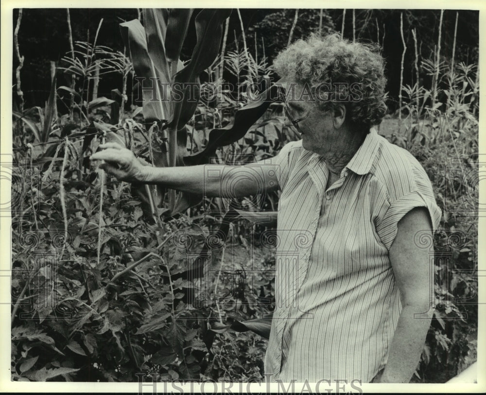 1986 Press Photo Woman points to fence by corn plants in Hinton, Alabama- Historic Images