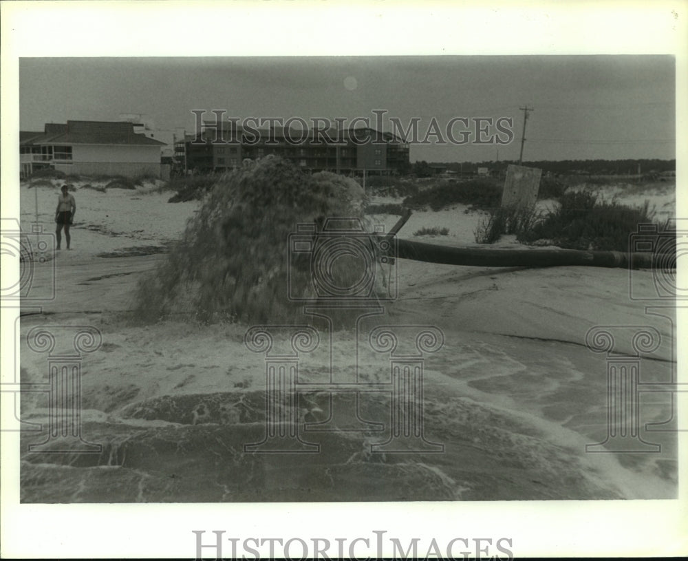 1991 Press Photo Tree blown down on beach at Gulf Shores, Alabama - Historic Images