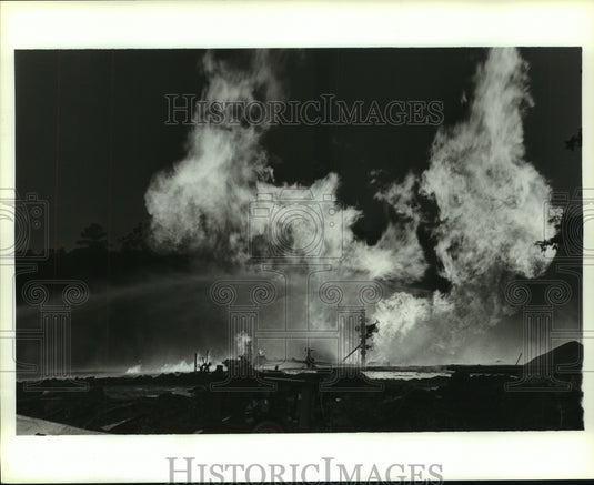 1990 Press Photo Creola fire in Alabama - Historic Images