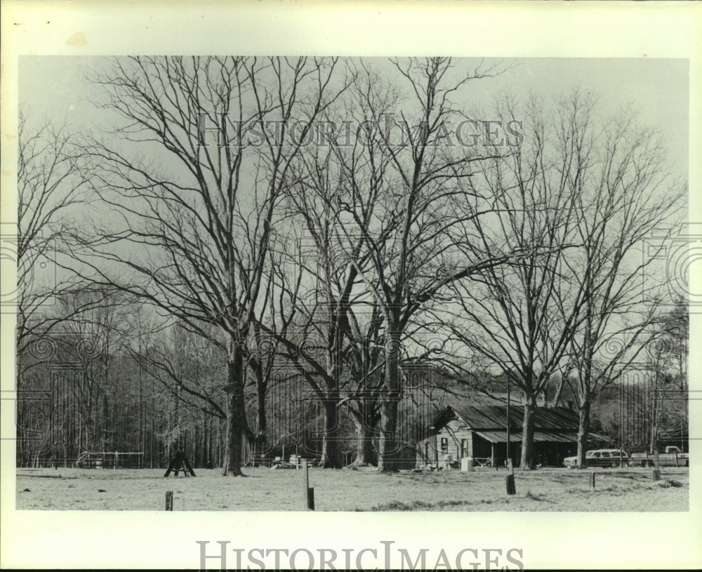 1988 Press Photo Home in Shreve, Alabama - Historic Images