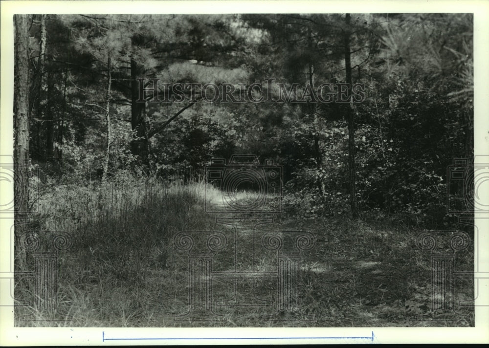 1987 Press Photo Nature scene in Yarba, Alabama- Historic Images