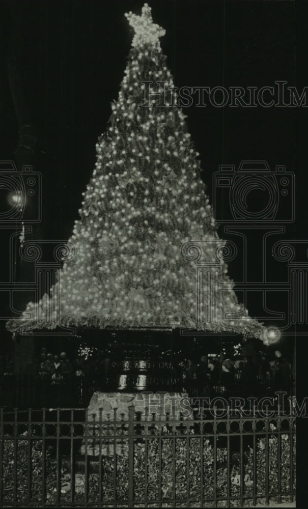 1987 Press Photo Outdoor Lighted Christmas Tree in Mobile, Alabama, Park- Historic Images