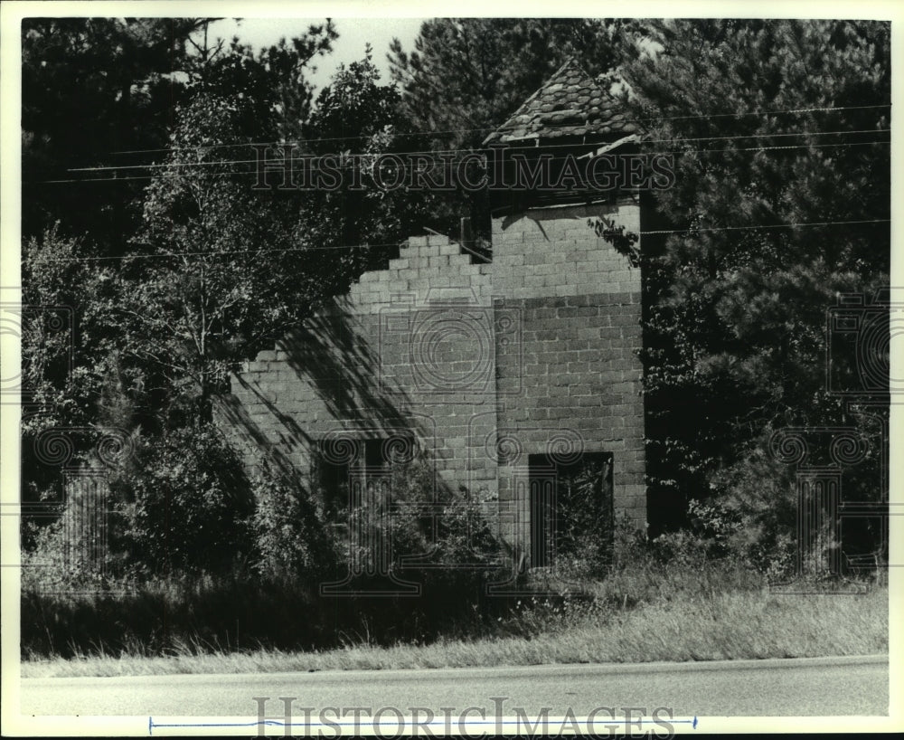 1987 Press Photo Walls of an dilapidated building, Chastang, Alabama- Historic Images