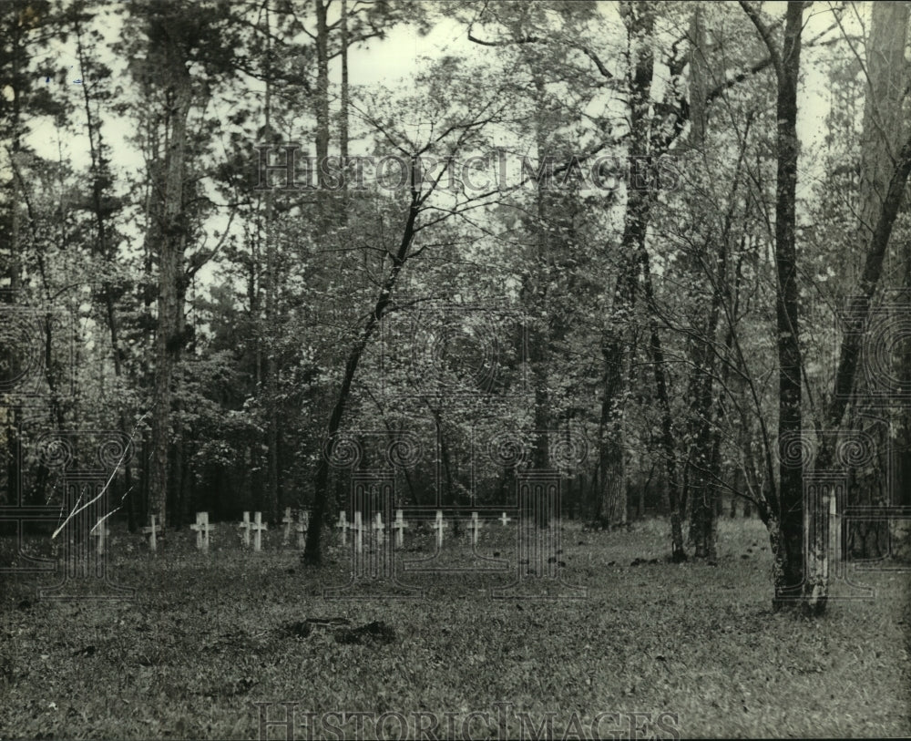 Press Photo Blakeley Cemetery, Alabama- Historic Images