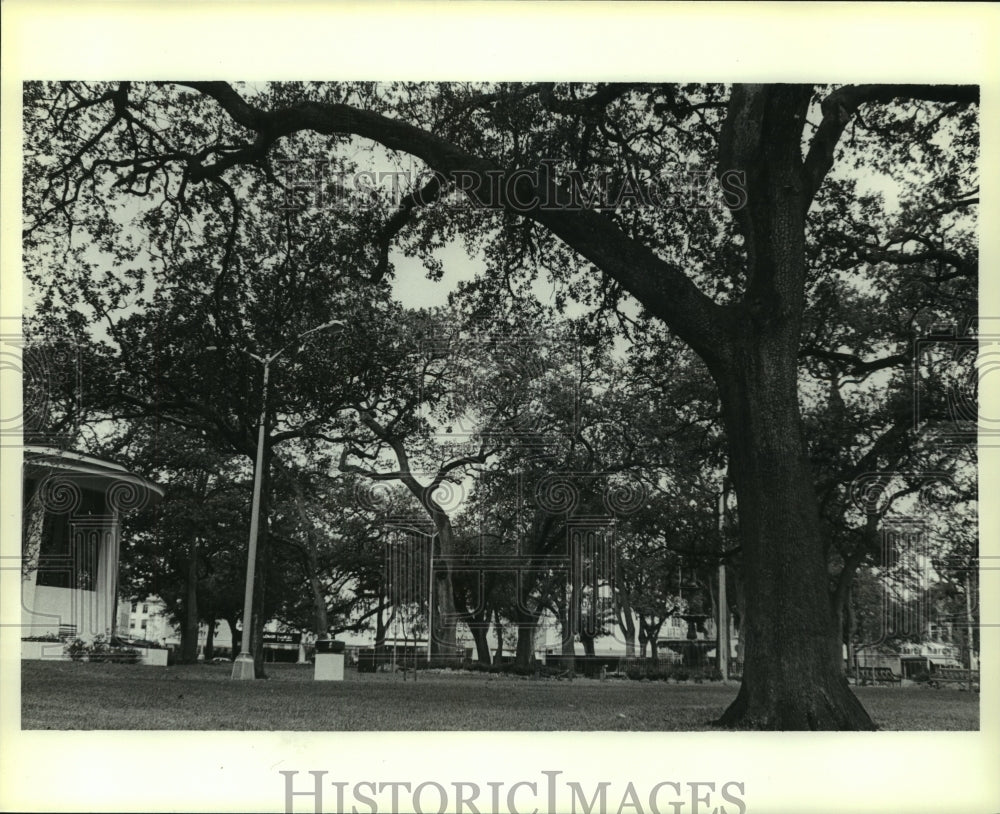 1985 Press Photo Trees and Gazebo at Bienville Square, Alabama- Historic Images