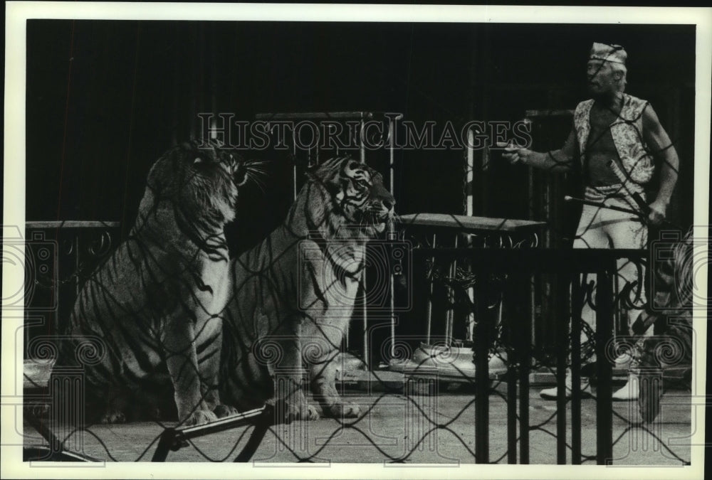 1990 Press Photo Tamer and Tigers Performing in Circus, Alabama - amra04728- Historic Images