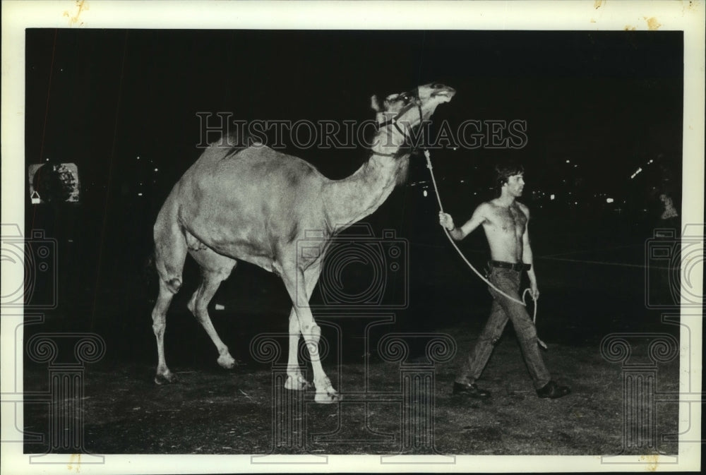 1984 Press Photo Man Leading Camel at Circus, Alabama - amra04755- Historic Images