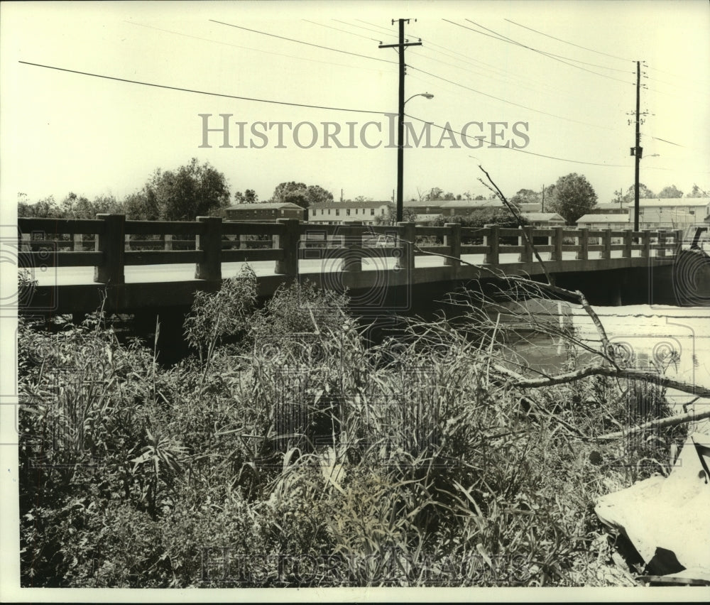 1980 Press Photo Thornhill at Stone Street Bridge, Mobile, Alabama- Historic Images