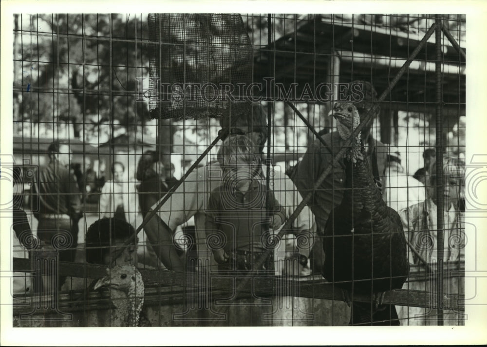 1991 Press Photo Visitors at Porch Band Indian Pow-Wow Watching Turkey, Alabama- Historic Images