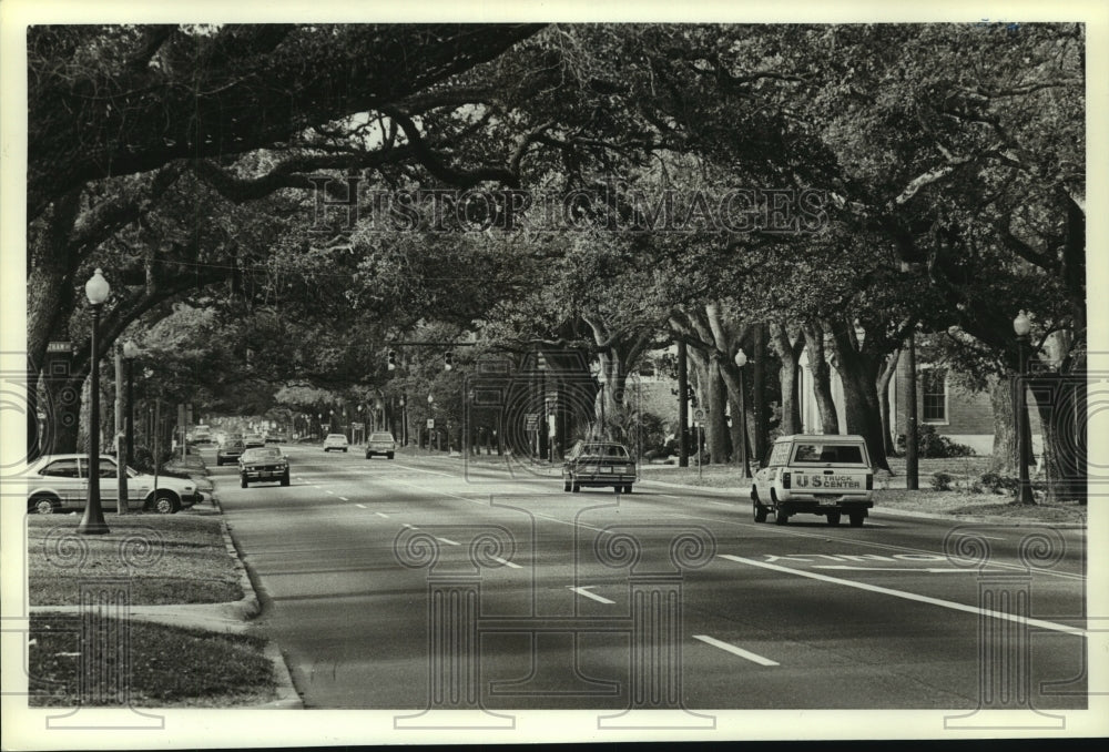 1985 Press Photo Tree Lined Government Street, Alabama- Historic Images