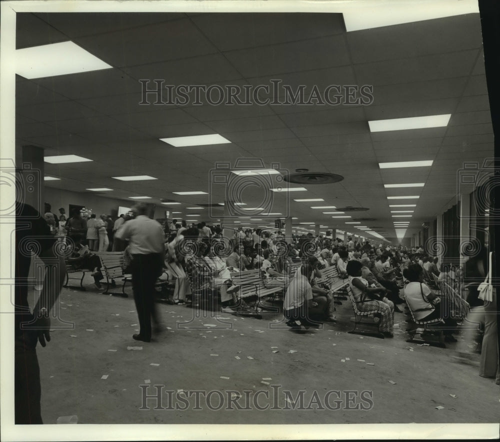 1973 Press Photo Crowd watches dog racing at the track in Alabama - Historic Images