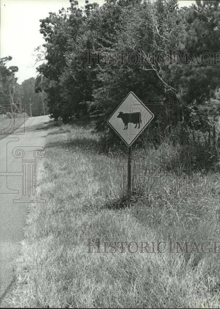 1987 Press Photo Cow Crossing Road Sign in Jay Villa, Alabama - amra08974- Historic Images