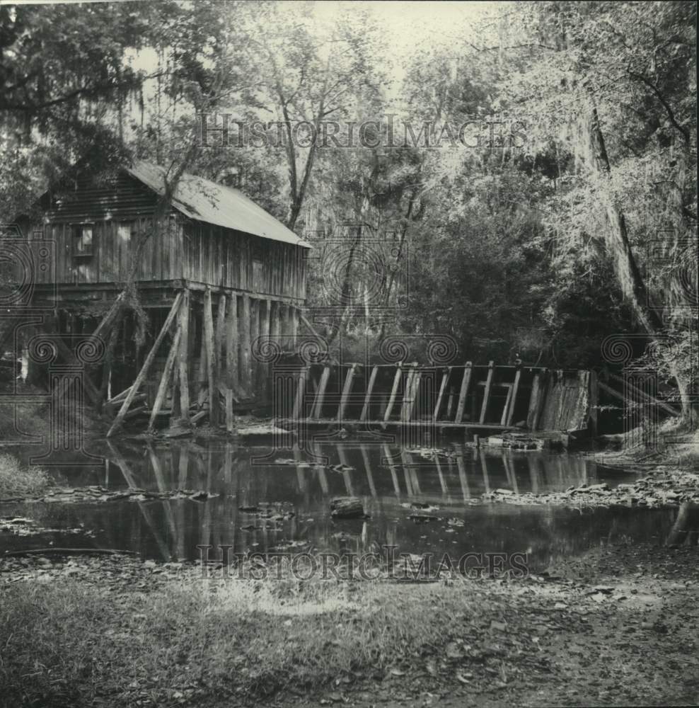 Press Photo Exterior view of the Buena Vista Up Home, Alabama- Historic Images