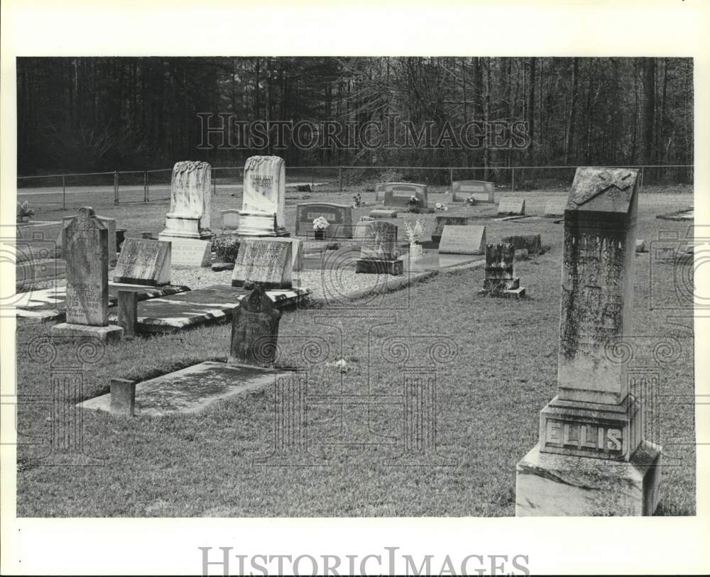 1986 Press Photo Civil War Markers in Church Cemetery in Loree, Alabama- Historic Images