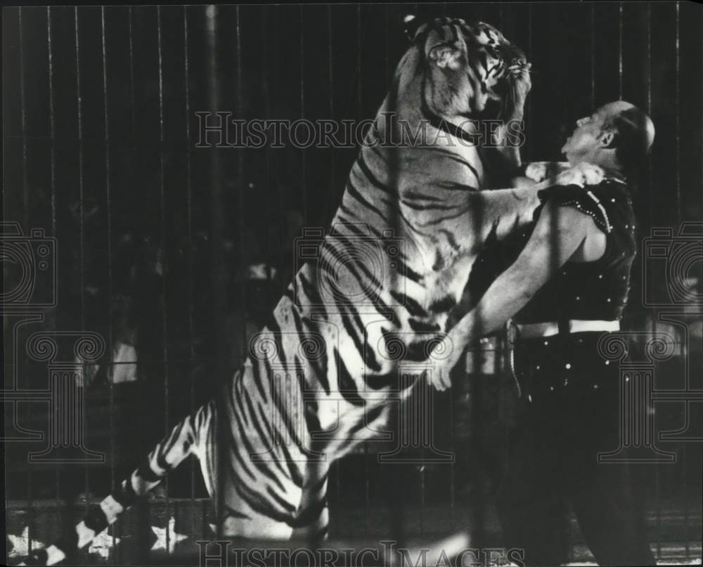 1988 Press Photo The Amazing Josip Marcan circus act with a tiger, Alabama- Historic Images