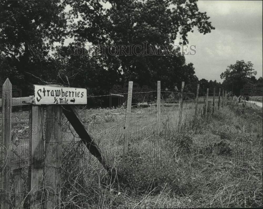 1986 Press Photo Strawberries Sign Along a Country Road in London, Alabama- Historic Images